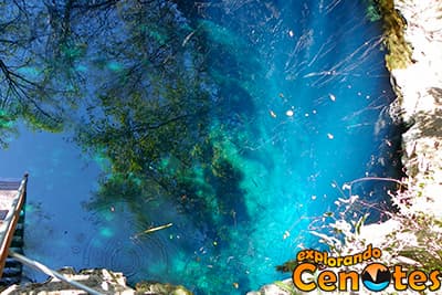 Cenote Yaal Utzil en Mucuyche, Cenotes en Yucatán