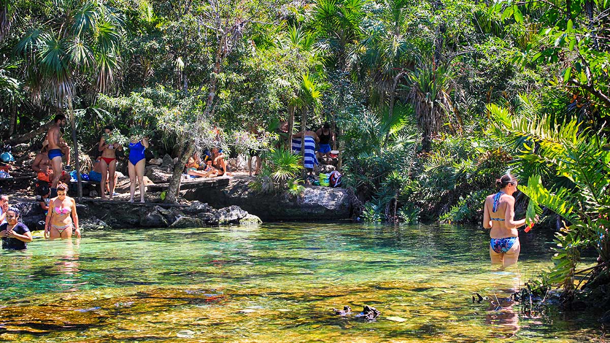 Explora los Cenotes de la Riviera Maya