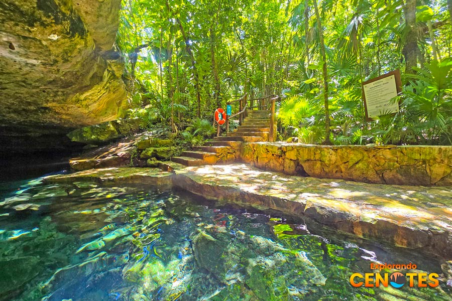 Ecopark Cenote Kantun Chi Riviera Maya, Cenotes Riviera Maya