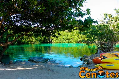 Cenote Manatí en la Riviera Maya, Cenotes en Yucatán