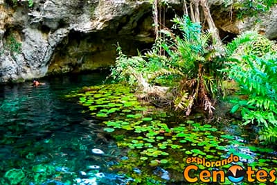 Gran Cenote en Tulum, Cenotes en Yucatán