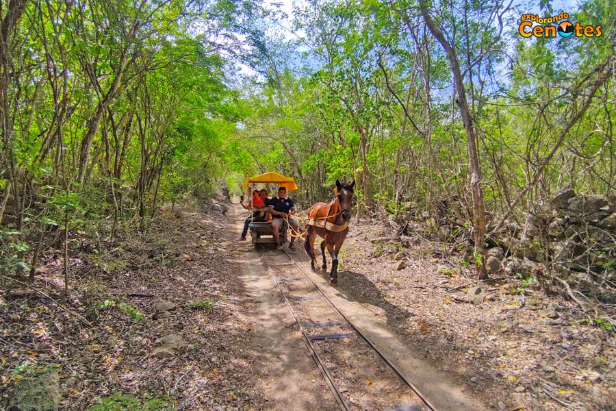 Ruta Los 3 Cenotes de Cuzamá, Cenotes Yucatán