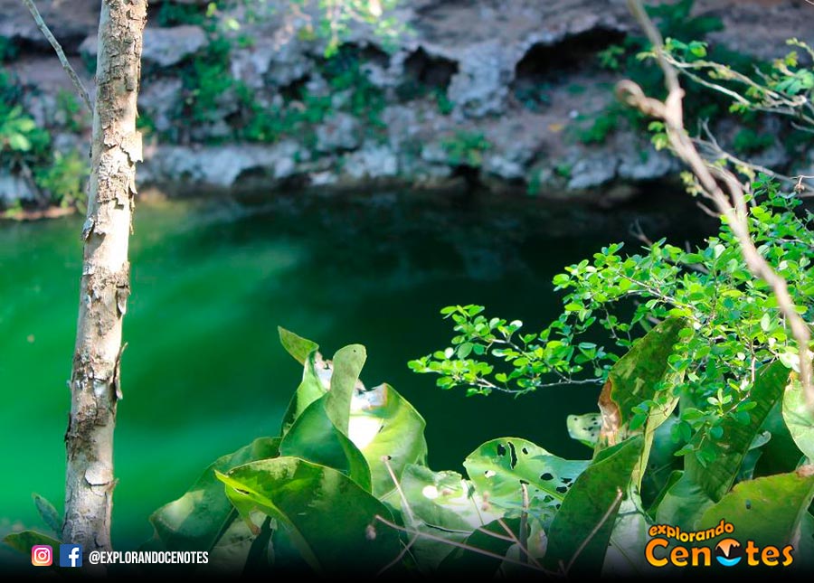 Cenote Kikil, Parador Turístico Cenote Kikil, Cenotes Tizimin
