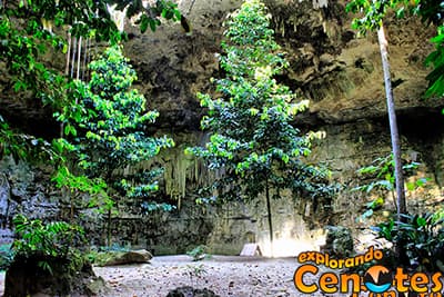 Cenote Sac-Aua en Dzalbay, Cenotes en Yucatán